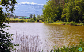 foto_ 0028