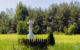 foto_ 0036