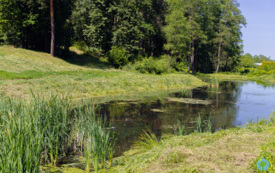 foto_ 0047