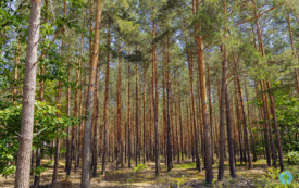 foto_ 0032