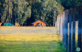 foto_ 0018