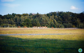 foto_ 0016