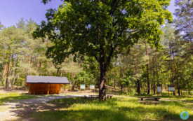 foto_ 0033