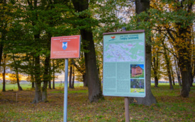 foto_ 0039