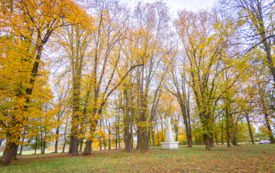 foto_ 0022