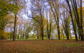 foto_ 0019