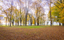 foto_ 0012