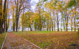 foto_ 0006