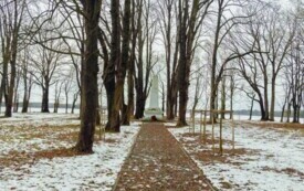 foto_ 0017