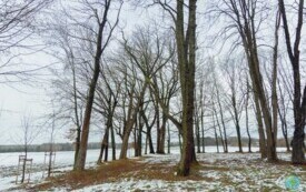 foto_ 0013