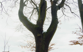 foto_ 0010