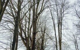 foto_ 0008