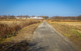 foto_ 0039