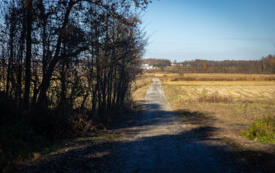 foto_ 0038