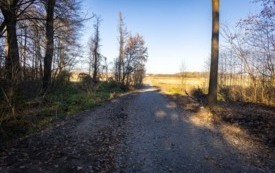 foto_ 0036