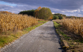 foto_ 0018