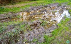 foto_ 0023