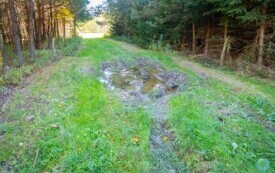foto_ 0022