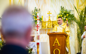 foto_dzien_dobra_ 0033