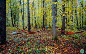 foto_ 0019