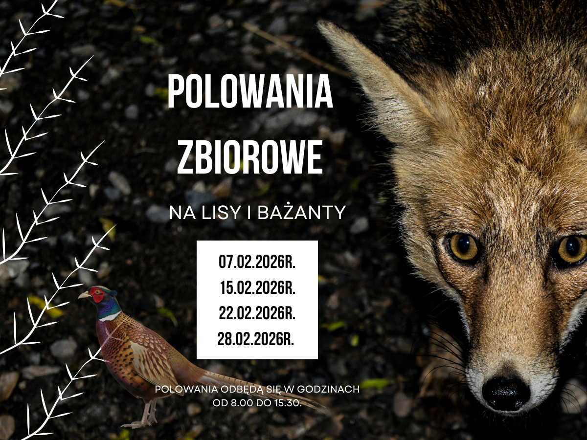 Dodatkowe Polowania