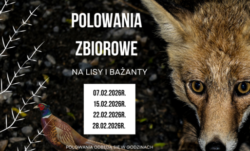 Dodatkowe Polowania