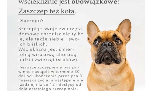 Wścieklizna